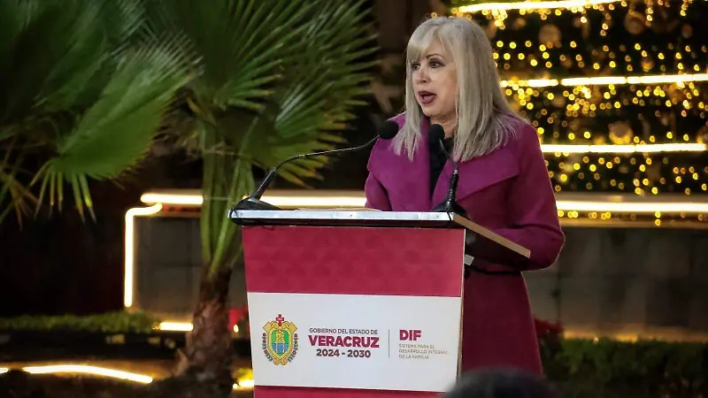 Encendido del árbol navideño DIF